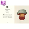 【中商原版】馆长收藏 真菌大全 欢迎来到博物馆系列 The Curators Collection An A to Z of Fungi 英文原版 Ester Gaya 商品缩略图4