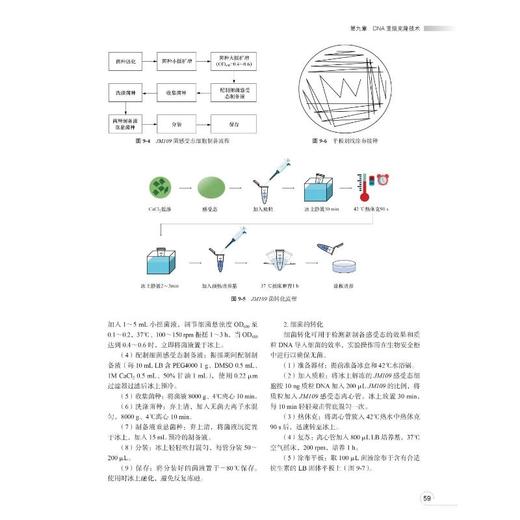 医学常用实验技术 商品图4