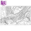 【中商原版】哈利 波特 魔法生物涂色书 Harry Potter  Magical Creatures Coloring Book 英文原版  Insight Editions 填色画册 商品缩略图4