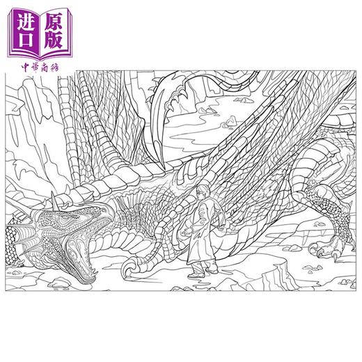 【中商原版】哈利 波特 魔法生物涂色书 Harry Potter  Magical Creatures Coloring Book 英文原版  Insight Editions 填色画册 商品图4