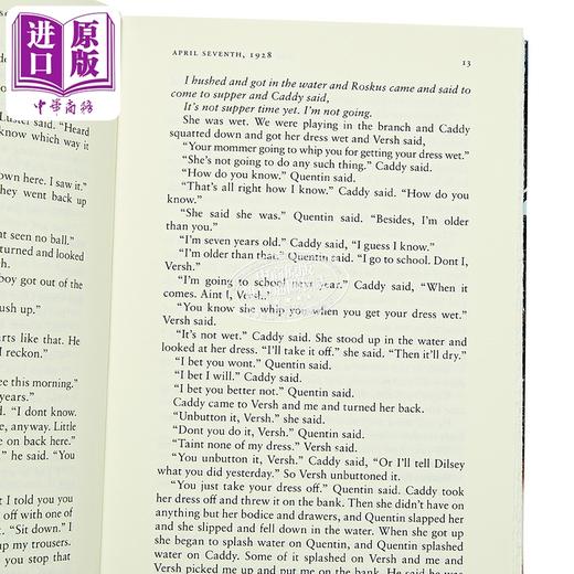 【中商原版】喧哗与骚动 企鹅经典豪华版 The Sound and the Fury 英文原版 William Faulkner Ayana Mathis 商品图2