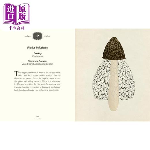 【中商原版】馆长收藏 真菌大全 欢迎来到博物馆系列 The Curators Collection An A to Z of Fungi 英文原版 Ester Gaya 商品图3