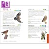 【中商原版】北美观鸟初学者 150个物种的实地记录 North American Bird Watching for Beginners 英文原版 Sharon Stiteler 商品缩略图4