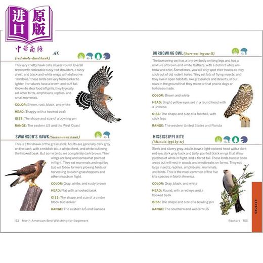 【中商原版】北美观鸟初学者 150个物种的实地记录 North American Bird Watching for Beginners 英文原版 Sharon Stiteler 商品图4