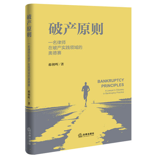破产原则：一名律师在破产实践领域的奥德赛 郝朝晖 著 法律出版社 商品图3