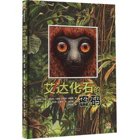 艾达化石的密码