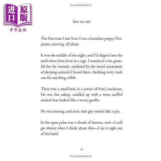【中商原版】动物四部曲 只有一个鲍勃The one and only Bob英文原版进口 一个关于友谊亲情和希望的小说故事 儿童读物8岁以上 商品图4