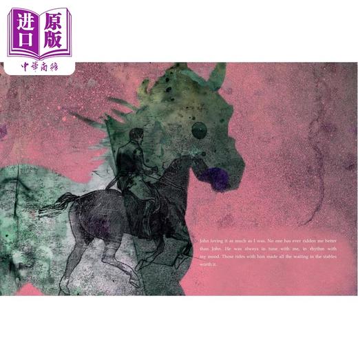 【中商原版】黑骏马 Michael Morpurgo Black Beauty 英文原版 儿童文学读物 动物故事 精美插图小说英语阅读 进口童书 精装 商品图4