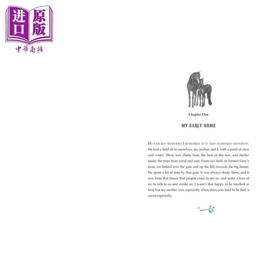 【中商原版】黑骏马 Michael Morpurgo Black Beauty 英文原版 儿童文学读物 动物故事 精美插图小说英语阅读 进口童书 精装 商品图2