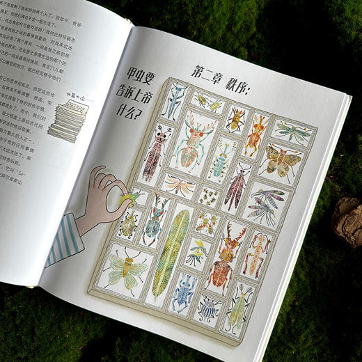萨姆的甲虫：进化生物学简史 商品图2