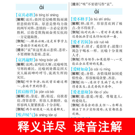 【华语教学版】学生成语词典  厚457页 商品图2