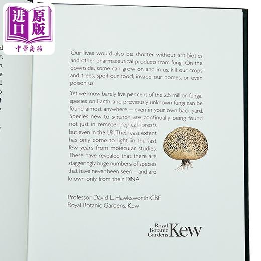【中商原版】馆长收藏 真菌大全 欢迎来到博物馆系列 The Curators Collection An A to Z of Fungi 英文原版 Ester Gaya 商品图2