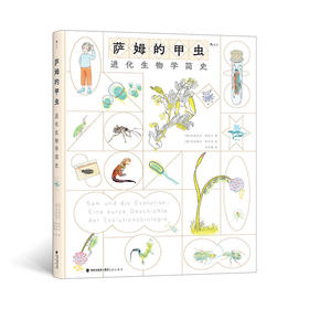 萨姆的甲虫：进化生物学简史