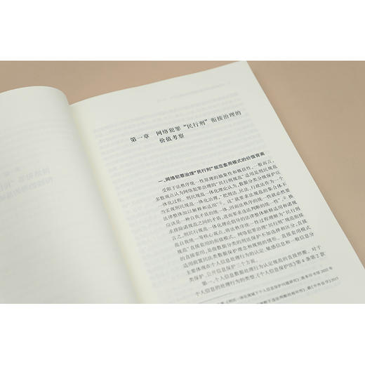 网络犯罪“民行刑”衔接治理研究 熊波著 法律出版社 商品图3