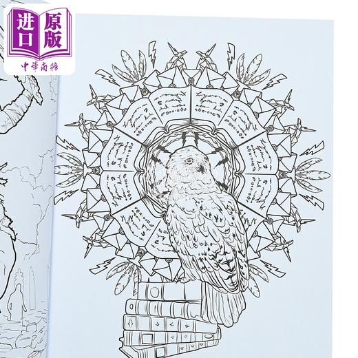 【中商原版】哈利 波特 魔法生物涂色书 Harry Potter  Magical Creatures Coloring Book 英文原版  Insight Editions 填色画册 商品图2