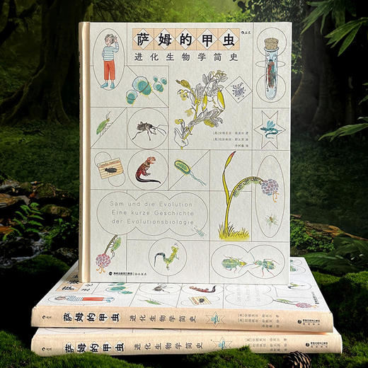 萨姆的甲虫：进化生物学简史 商品图1