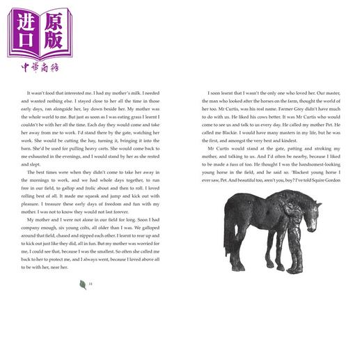 【中商原版】黑骏马 Michael Morpurgo Black Beauty 英文原版 儿童文学读物 动物故事 精美插图小说英语阅读 进口童书 精装 商品图3