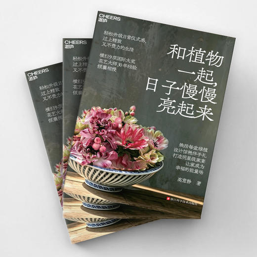 和植物一起，日子慢慢亮起来 商品图1