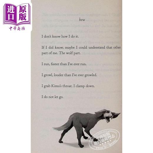 【中商原版】动物四部曲 只有一个鲍勃 英版 One and Only Bob 英文原版 儿童读物 动物故事 黑白插图小说故事 进口童书 8岁+ 商品图2