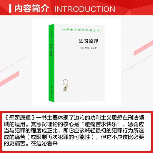 惩罚原理 商品图2