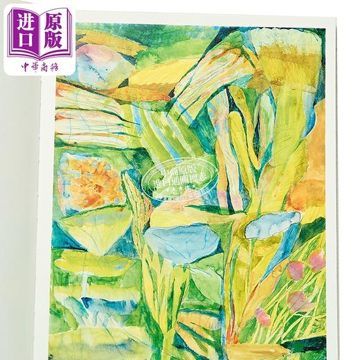 【中商原版】【法文版】植物低语 法国艺术家Geoffroy Pithon绘 BOTANIQUE MURMURE 法文原版 水彩花卉 绘本艺术 商品图2