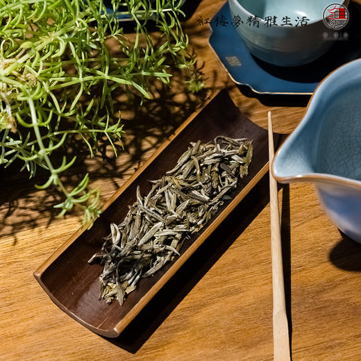 2026茉莉花茶浓香型特级茉莉绿茶新茶冷泡茶南宁特产花茶罐装 商品图0