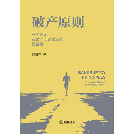 破产原则：一名律师在破产实践领域的奥德赛 郝朝晖 著 法律出版社 商品图4