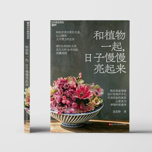 和植物一起，日子慢慢亮起来 商品图2