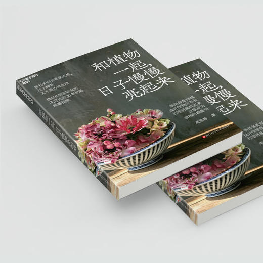 和植物一起，日子慢慢亮起来 商品图3