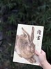 【推荐】《读画》第15期，16开，平装，中国美术学院出版社2026年9月一版一印，售价38元。 商品缩略图0