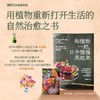 和植物一起，日子慢慢亮起来 商品缩略图0