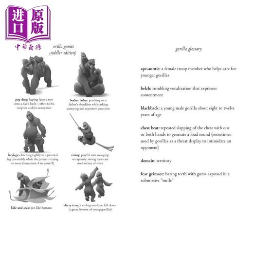 【中商原版】动物四部曲 唯一的家庭 英版 The One and Only Family 英文原版 儿童读物 动物故事 黑白插图小说故事 进口童书 商品图2