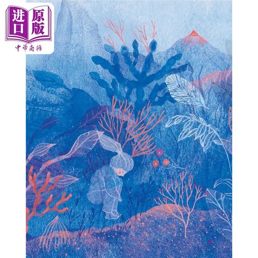 【中商原版】【法文版】已然在那儿 法国艺术家Heloise Robin绘 Deja la 法文原版 绘本 Izou Elisa Sartori 商品图4