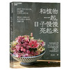 和植物一起，日子慢慢亮起来 商品缩略图4