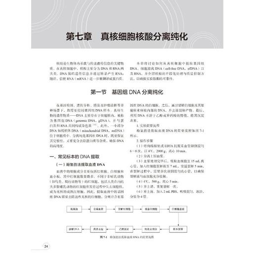 医学常用实验技术 商品图3