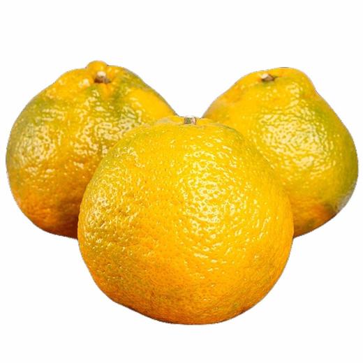 云南丑橘（1000±50g） 商品图1