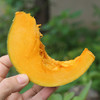 密云银栗南瓜 现摘现发粉糯板栗味 适合蒸着吃熬粥南瓜 商品缩略图5