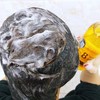 新西兰8+minute八分钟人参洗发水｜内含整根人参！强韧控油、防断发，打造清爽空气感！ 商品缩略图2