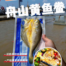 【东海现捕】舟选 黄鱼鲞 肉厚刺少鲜香不腥 老少皆宜 200g/袋