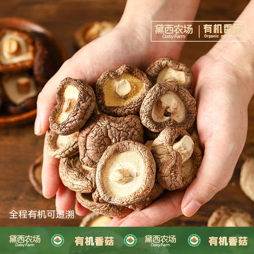 黛西农场有机香菇108g*2袋+有机黑木耳108g*1袋组合 厨房轻食有机生态小孩爱吃 烹饪佐料 商品图2