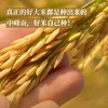 【外地专拍 • 2026年新米 | 全国包邮，部分地区除外】中峰贡竹溪贡米 独立包装 黄绿色礼盒装 4kg /盒 商品缩略图2