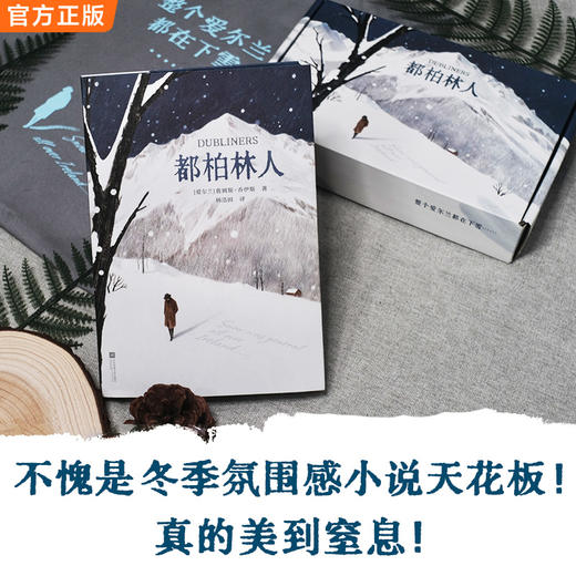 【11岁+】【都柏林人限定礼盒】双封刷边+帆布包经典文学史上zui著名的雪 商品图3