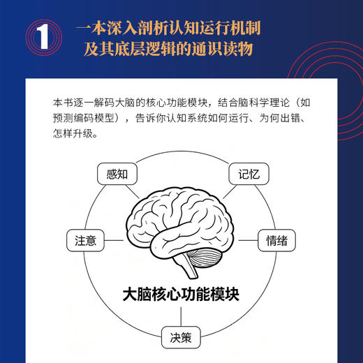 认知资本 AI时代认知觉醒指南信息茧房心理学书籍 商品图3