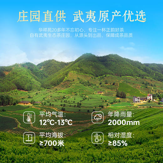 华祥苑-三瑞呈祥庄园直供小圆罐茶 商品图5