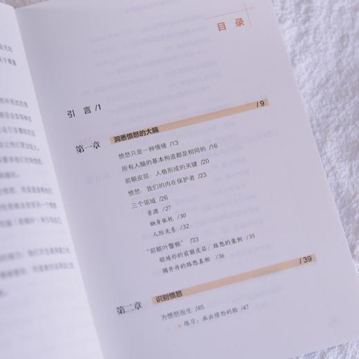愤怒的脑科学真相 情绪管理约瑟夫·施兰德共情沟通感恩 心理学书籍 商品图1