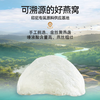 燕大师鲜炖燕窝70g【每瓶4g投料量，印尼溯源码】源头工厂 鲜炖高品质 开罐即食顺丰冷链新鲜直达 秋季冬滋养肺金孕期滋养 印尼鲜炖燕窝 商品缩略图0