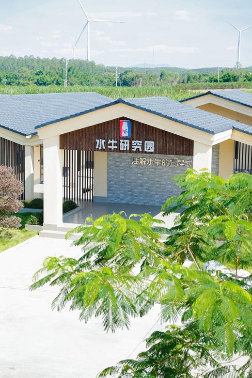 『水牛满满5.0水牛纯牛奶』热卖3000+5.0g优质蛋白+162mg原生高钙孩子成长能量站 珍贵的娟姗牛奶奶源+槟榔江水牛奶源高钙高蛋白温和易吸收肠胃零负担125ml/200ml 商品图3