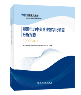 能源电力中央企业数字化转型分析报告 （2025年）