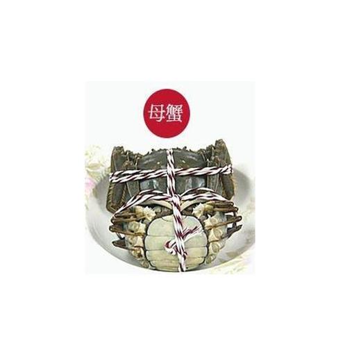 【鲜活】兴化大闸蟹3母（1只） 商品图1