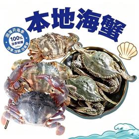 【鲜活】本地海蟹（1000±50g)（种类随机：海叉子，红夹子，花盖）